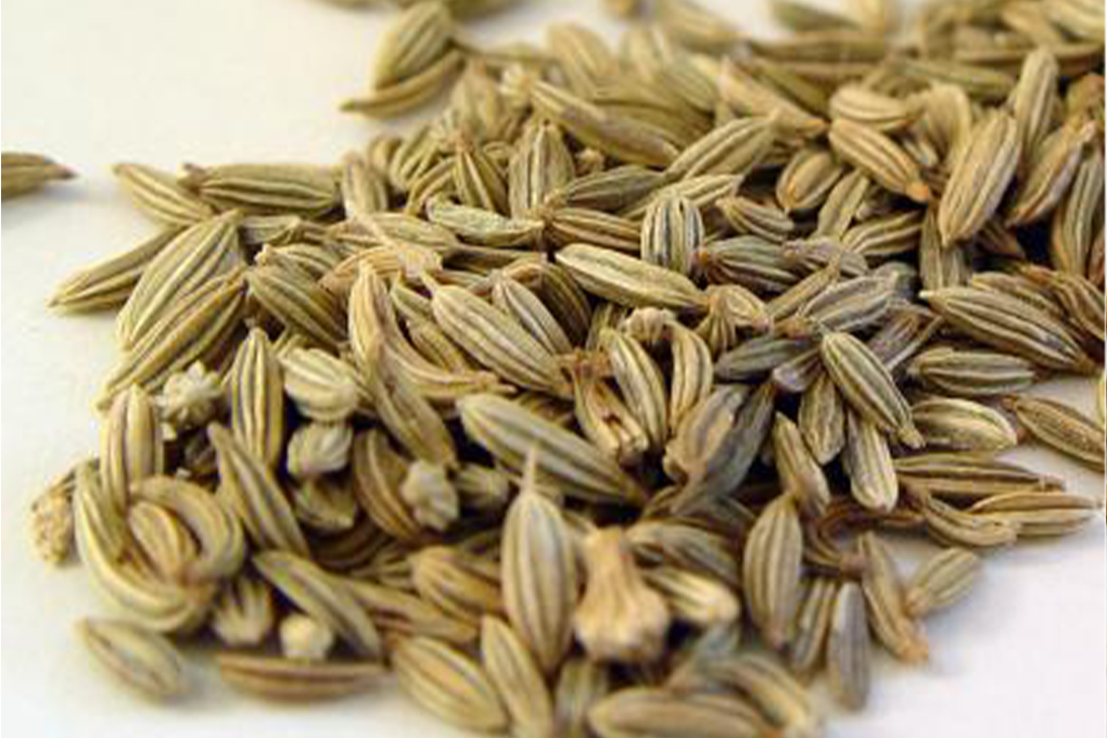 Caraway