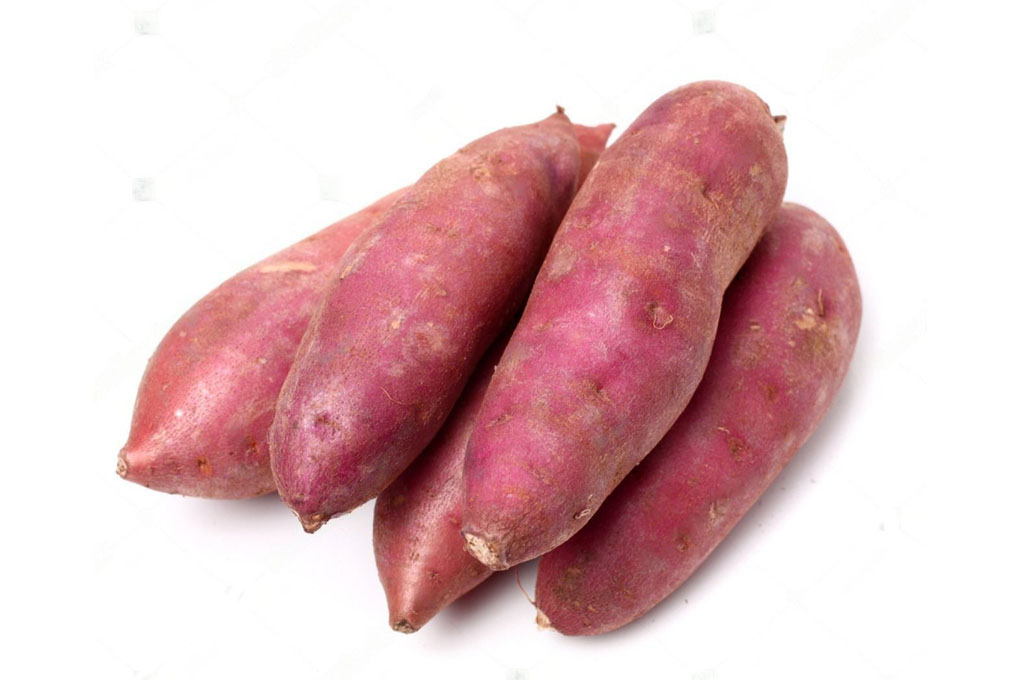 Sweet Potato