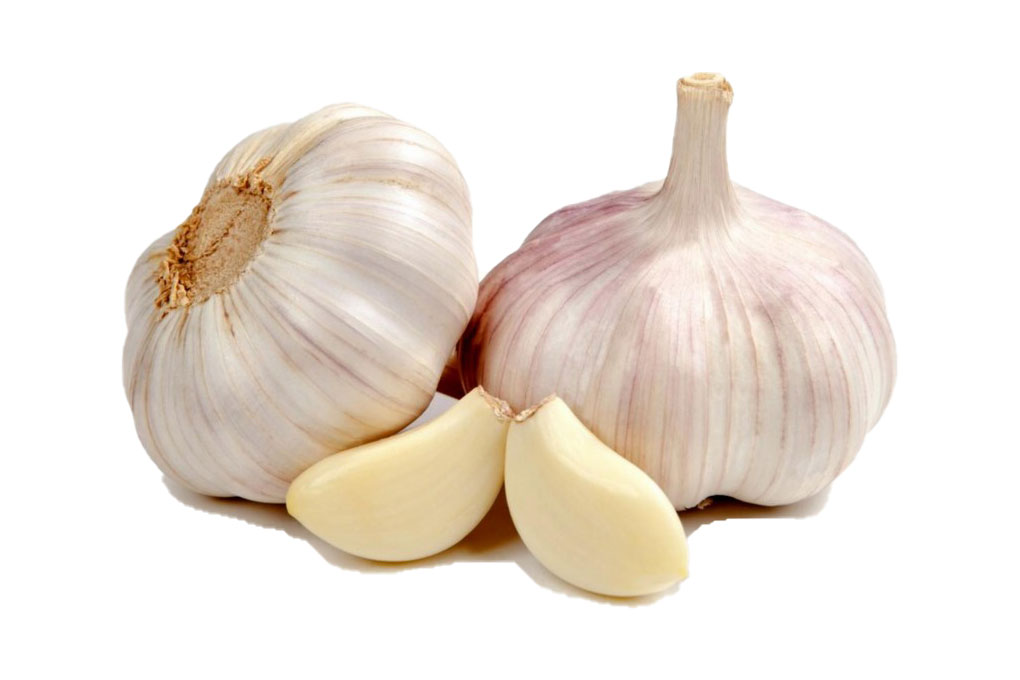 Garlic