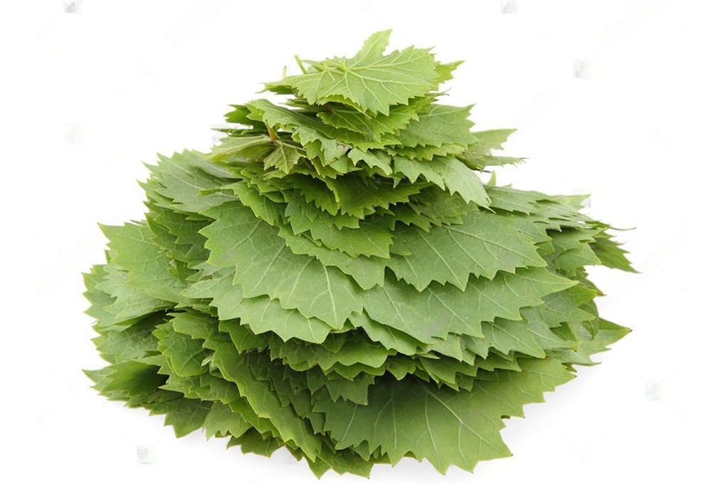 Grape Leaves