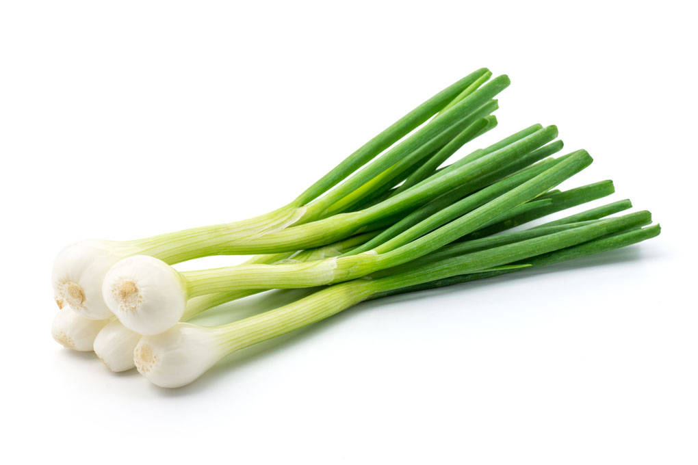 Spring Onion